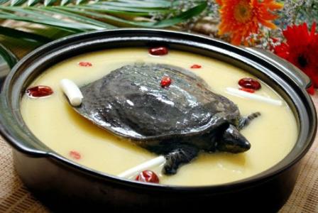 甲鱼汤的做法 甲鱼的4种做法