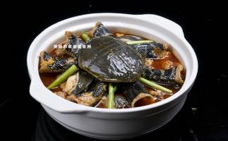 甲鱼汤的做法 好吃的甲鱼做法3种