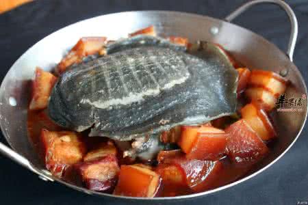 甲鱼烹饪方法 甲鱼的烹饪方法3种