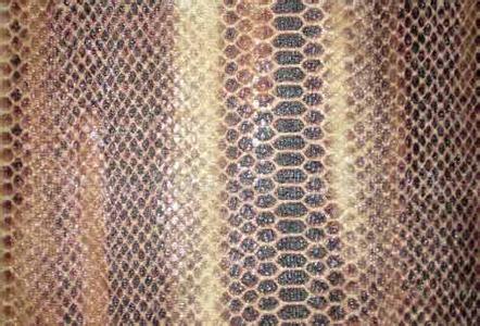 蛇皮癣治疗方法 蛇皮烹饪方法