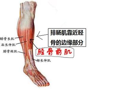 骨头酸痛是怎么回事 跑步时腿脚骨头酸痛是怎么回事