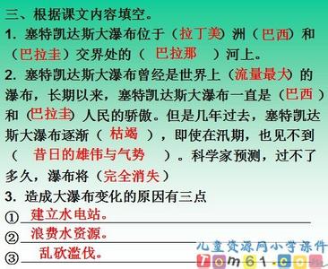 大瀑布的葬礼读后感 大瀑布的葬礼读后感大全