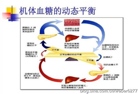 肝脏的主要功能 肝脏的5个主要功能