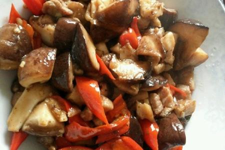 香菇炒肉的做法 香菇炒肉的好吃做法有哪些
