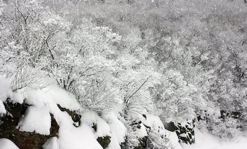 大雪养生 小雪养生