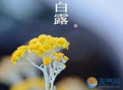 白露节气 白露节气祝福语大全