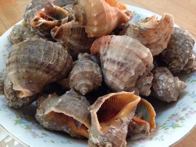 海螺肉的家常做法 海螺有哪些家常做法