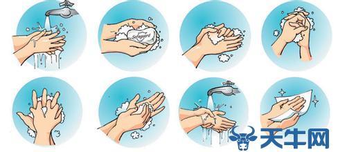老鼠病菌空气传播 洗手后纸擦更卫生，有效防止病菌传播
