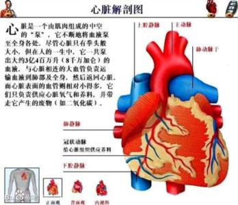 心脏不好有什么症状 通过哪些症状说明你心脏不好
