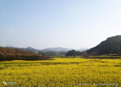 3月份去哪里旅游 国内 3月份去哪里旅游好