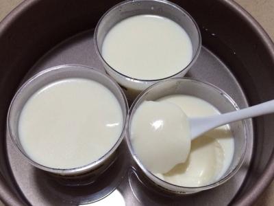 牛奶布丁的做法 牛奶布丁的不同好吃做法