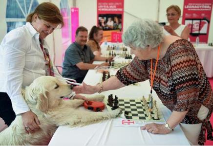 吉尼斯纪录 匈牙利87岁老妇刷新国际象棋吉尼斯纪录