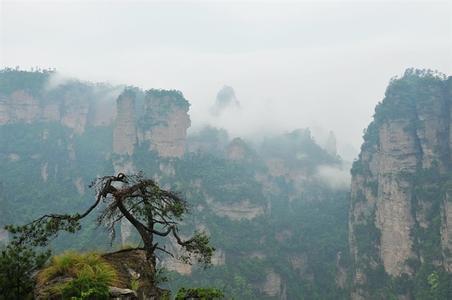 越南芽庄旅游注意事项 去张家界旅游的注意事项