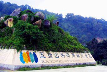 五指山热带雨林攻略 五指山热带雨林风景区