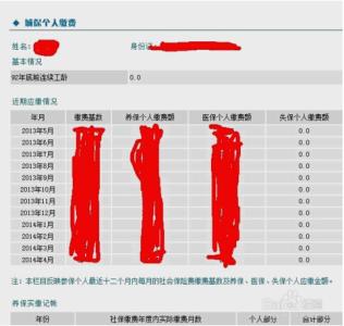 个人养老保险金缴费 怎么查个人养老保险金缴费情况