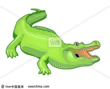 alligator指标 颚鱼指标 Alligator