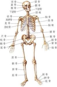 越丑越健康 八部位越丑越健康