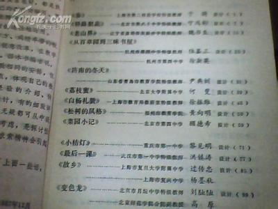 初三语文教师个人总结 初中语文教师个人工作总结