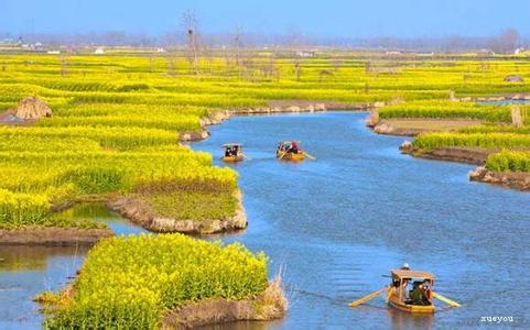 深圳踏青赏花好去处 2016年清明节赏花踏青好去处全攻略