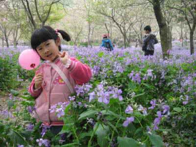 3月武汉樱花 3月了我们一起去武汉看樱花吧