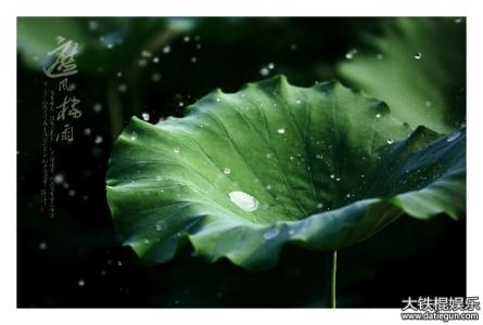 描写大雨天的优美段落 描写雨景的优美段落