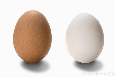 鸡蛋孵化温度决定性别 鸡蛋也会有性别之分吗？