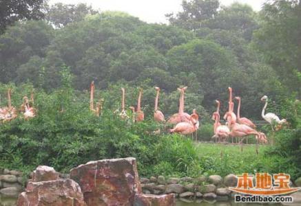 上海科技馆景点介绍 上海野生动物园景点介绍