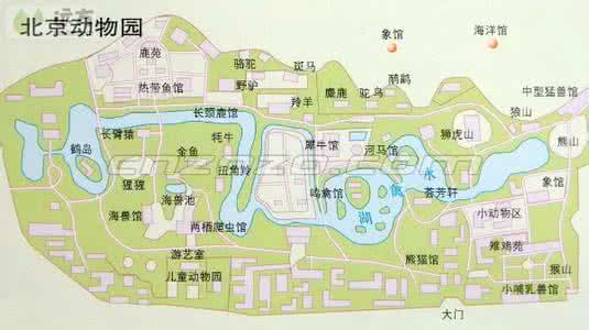 北京动物园周边景点 北京动物园的景点介绍，去动物园坐什么车