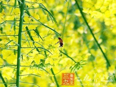 春分时节如何养生 春分时节重养生 9种不同体质注意事项