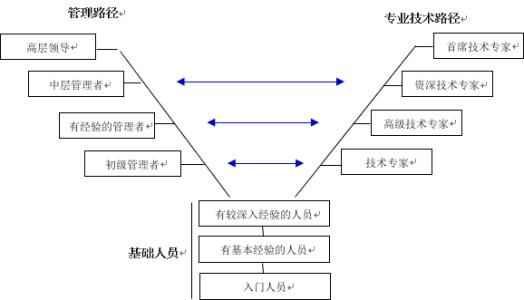 职业生涯发展路径 组织职业生涯路径设计