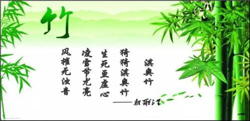 有关赞美竹子的句子 描写竹子的句子