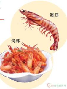 河虾与海虾的区别图片 海虾与河虾的区别