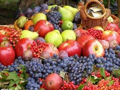 秋季适宜吃的水果 秋天儿童晚上吃什么水果好_秋季儿童适宜晚上吃的水果
