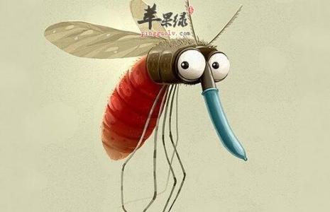 蚊子吃食物所用的器官 吃后易招蚊子的食物