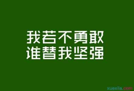 励志名言：不努力未来永远都只是一个梦(2)