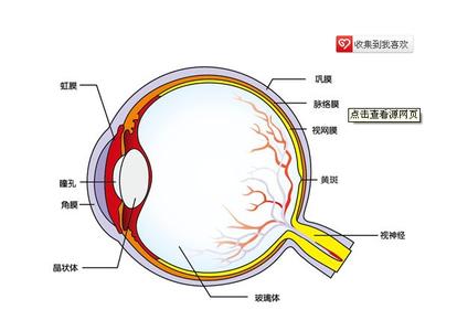 美容观念的小笑话 纠正错误美容观念解析有效浓度