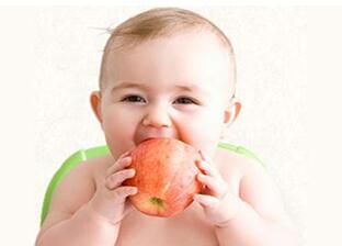 长期不吃水果会怎样 怎样按营养吃水果