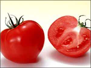 未成熟的番茄 吃未熟番茄6大禁忌要牢记