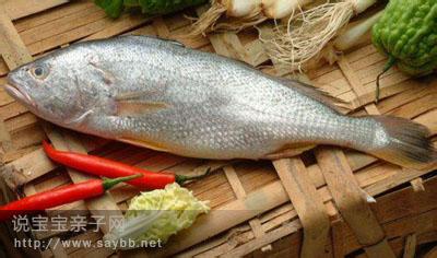 鳓鱼的做法 鳓鱼营养与做法
