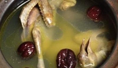 鸽子汤的做法 鸽子汤常见的做法有哪些
