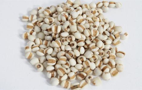 红豆的作用与功效 薏米的作用与功效