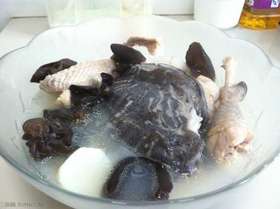 甲鱼乌鸡汤的营养价值 甲鱼母鸡汤怎么做营养