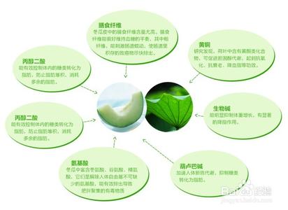 荷叶茶的功效与作用 荷叶的功效与作用及食用方法