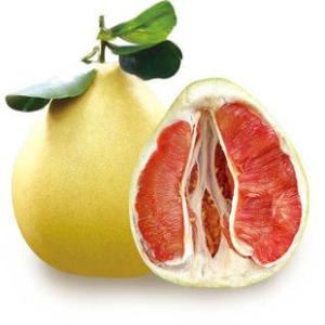 红柚子的功效与禁忌 红柚子的功效与作用