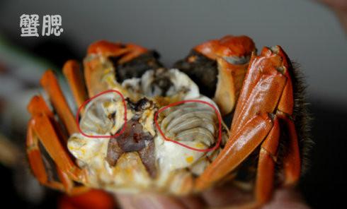 螃蟹哪些部位不能吃 螃蟹怎么吃