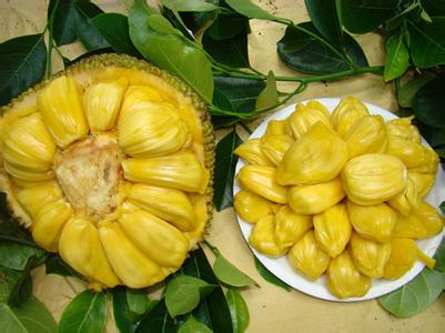 菠萝蜜的营养价值 菠萝蜜的营养价值和食用方法