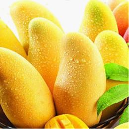 青芒果的功效与作用 芒果的营养价值及功效与作用