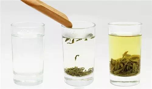 绿茶的冲泡方法 绿茶的冲泡之法