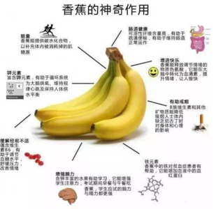 芭蕉的营养价值 芭蕉的营养价值功效与作用有哪些