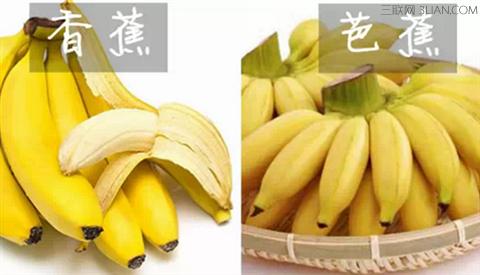 芭蕉与香蕉的功效区别 芭蕉和香蕉有什么区别